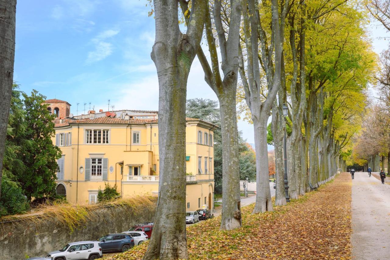 Palazzo Froussard B&B And Living Lucca Bagian luar foto